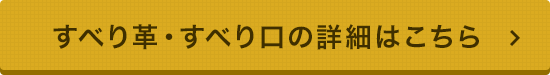 すべり革・すべり口の詳細はこちら