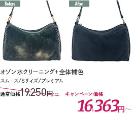 オゾン水クリーニング＋全体補色