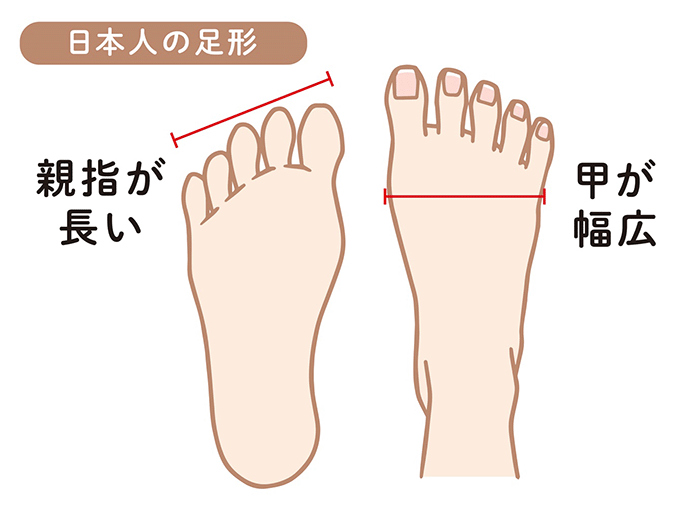 日本人の足型