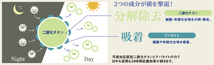 2つの成分が菌を撃退！