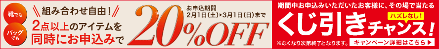 【期間限定】2点以上のアイテムを同時にお申込みで20%OFF